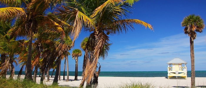 5 Playas Imperdibles en Miami Blog Ebes Alquiler de coches en Miami